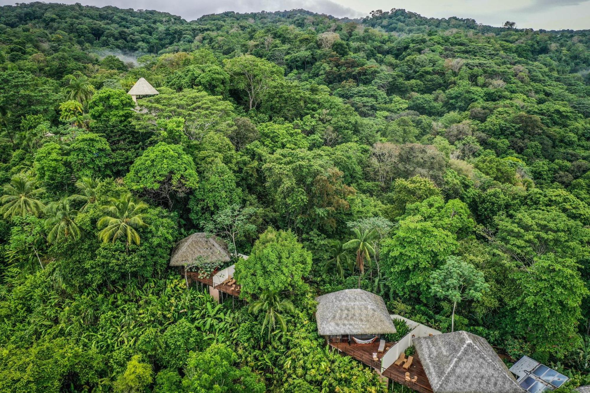 Lapa Rios Lodge By Boeena Puerto Jiménez Exterior foto
