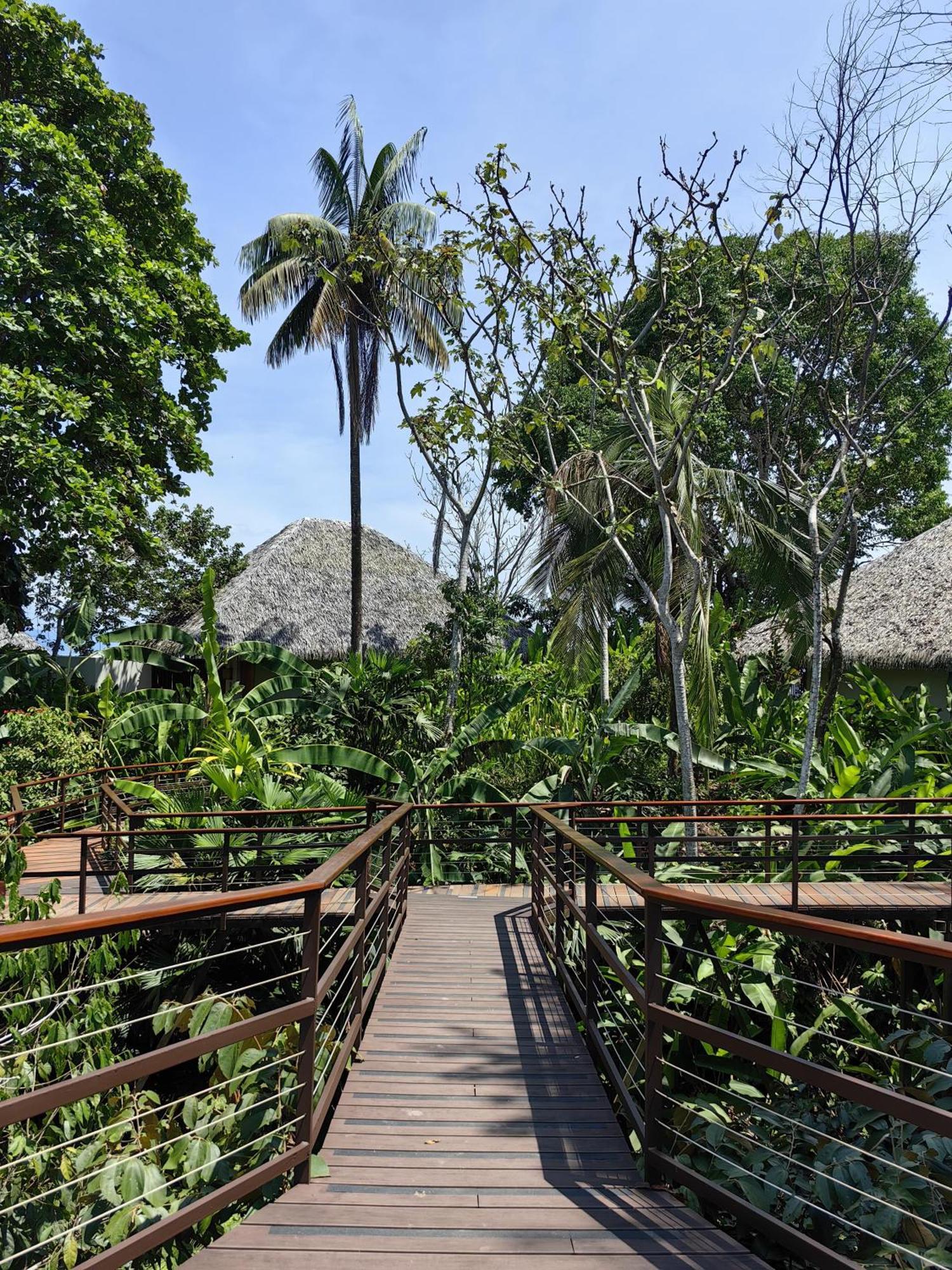 Lapa Rios Lodge By Boeena Puerto Jiménez Exterior foto