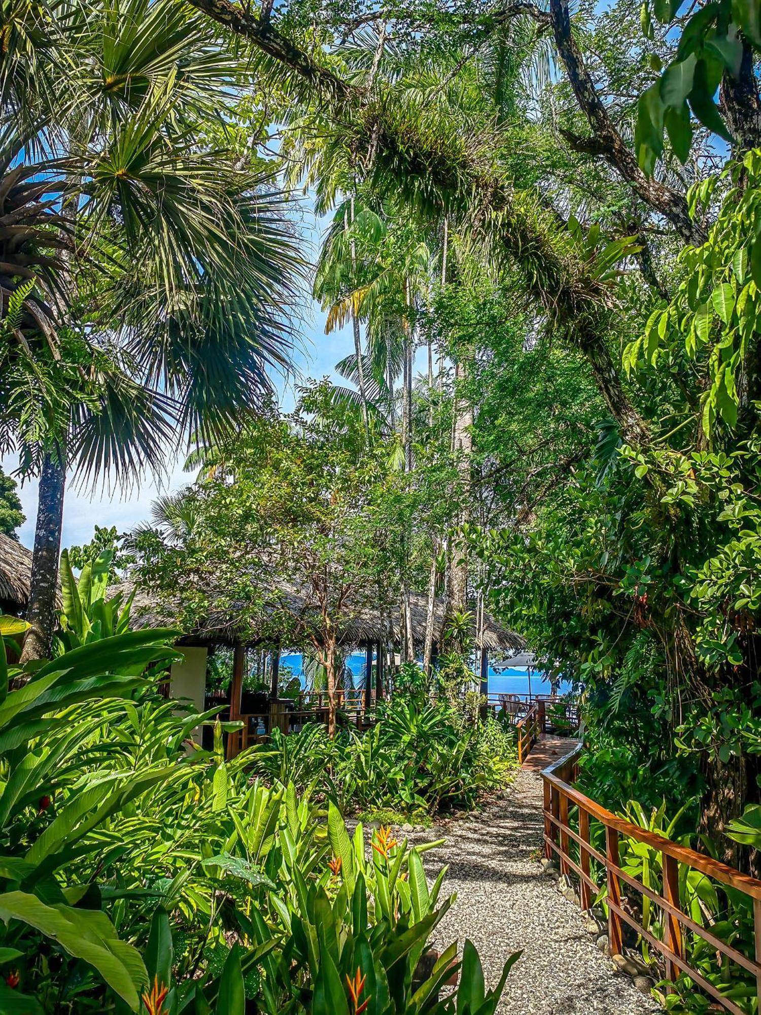Lapa Rios Lodge By Boeena Puerto Jiménez Exterior foto